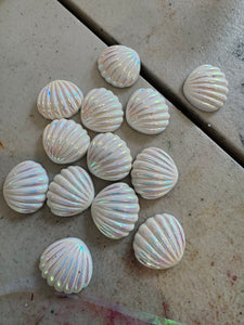 Pearl shell Pack